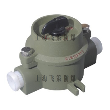 SW-10防爆照明开关