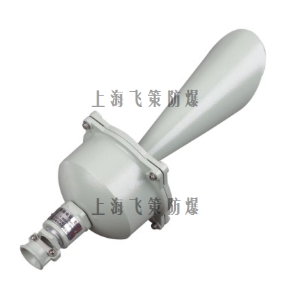 BDD防爆电笛